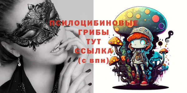 прущая мука Переславль-Залесский