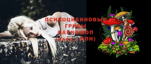 ешки Алексин